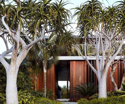 A robust coastal garden by William Dangar Australian Garden Design, Australian Native Garden, Small Courtyard Gardens, Cottage Garden Design, Australian Garden, Small Courtyards, Coastal Gardens, Family Garden, Sustainable Garden