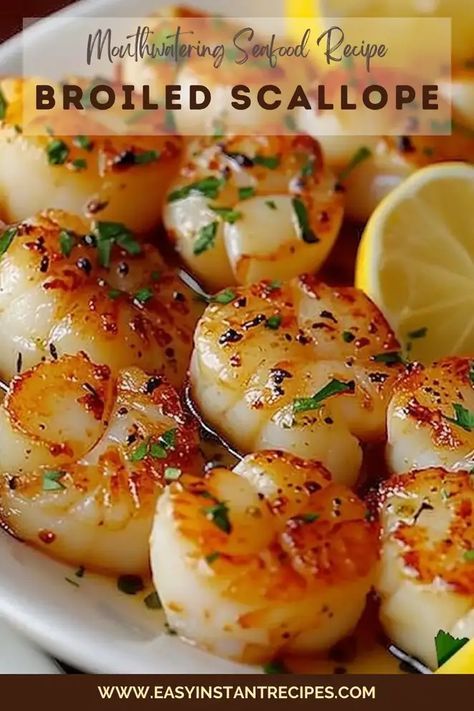 Broiled Bay Scallops, Broiled Scallops Easy, Broiled Scallops Recipe, Broiled Scallops, Bay Scallop Recipes, Seafood Scallops, Seafood Delight, Bay Scallops, Fish Dinners