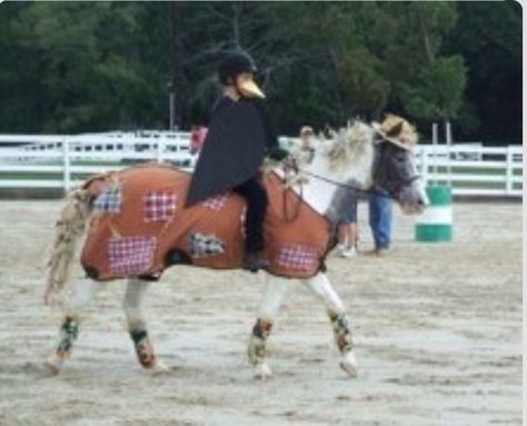 Scarecrow and crow Scarecrow Horse Costume, Pebbles Costume, Horse Show Mom, Horse Halloween Costumes, Horse Halloween, Halloween Costumes Scarecrow, Horse Costume, Saddle Shop, Great Halloween Costumes