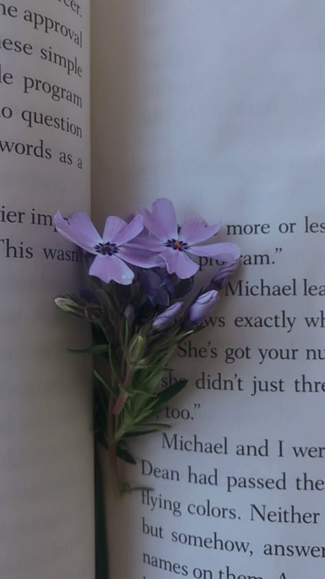 Lavender Book Aesthetic, Lavender Asthetics Photos, Purple Books Aesthetic Wallpaper, Purple Neutral Aesthetic, Lilac Flowers Aesthetic, Lavender Aesthetic Wallpaper, Lavender Inspiration, Purple Books, Purple Vibe