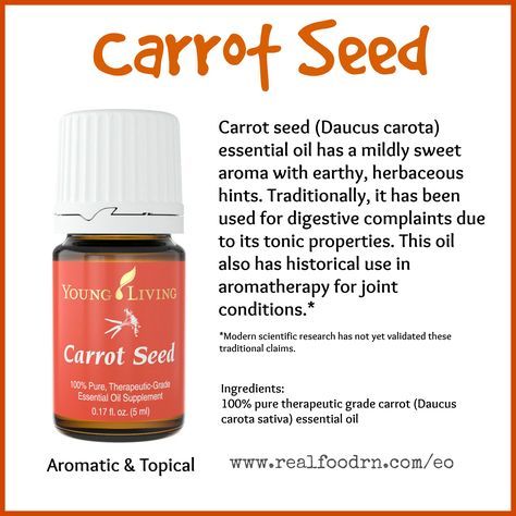 Carrot Seed Essential Oil. #carrotseedoil #essentialoils Carrot Plant, Oils For Health, Carrot Seed Essential Oil, Wild Carrot, Essential Oil Combinations, Aromatherapy Recipes, Essential Oils Guide, Daucus Carota, Carrot Seed Oil