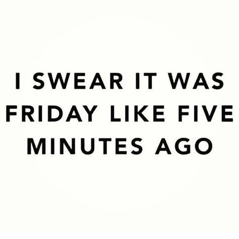 Where'd the weekend go?! Happy Sunday luvs!  #vibes #mood #sundayfeels #weekend #love #instagood Fun Weekend Quotes, Monday Jokes, Monday Humor Quotes, Sunday Quotes Funny, Sunday Feels, Fast Quotes, Monday Motivation Quotes, Monday Humor, Weekend Quotes