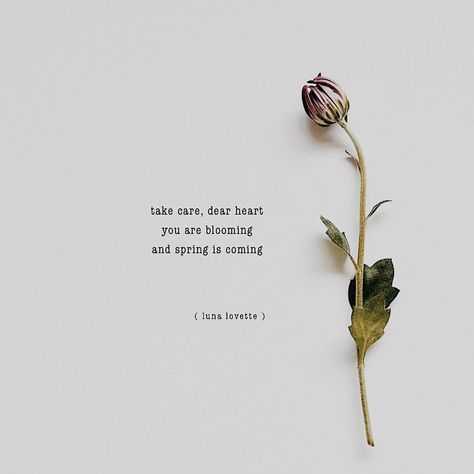 follow @lovettepoetry on Instagram for more. “take care, dear heart. you are blooming and spring is coming.” #poetry #poem #bloom #spring #quote #girlpower Seasonal Quotes, Spring Quote, Spring Poem, Quotes For Instagram Captions, Bloom Quotes, Hbd Quotes, Season Quotes, Spring Quotes, Instagram Flowers