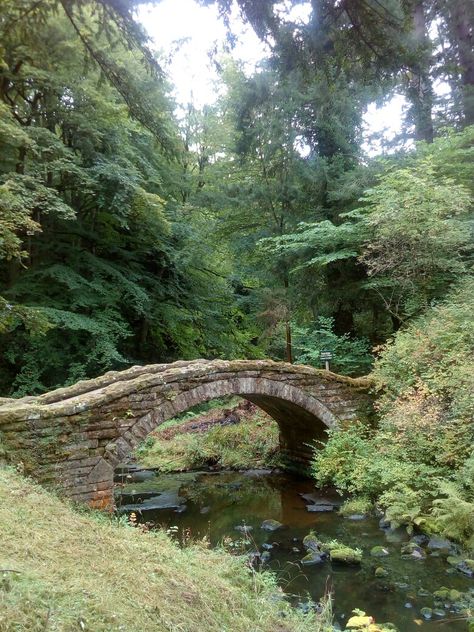 Stone Bridge Over River, Stone Bridges Over Creeks, Small Bridges Over Creek, Bridge Reference, River With Bridge, Pond With Bridge, Bridge Over Pond, Bridge In Forest, Bridge Over Creek