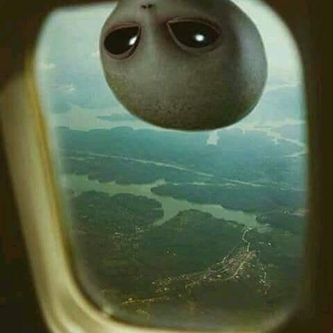 #monday #week #alien #flight #window #nothingtoseehere #outtaspace #galaxy #ibelieve #xfiles #head #life #love Alien Pictures, Alien Photos, Ufo Art, Alien Artwork, Alien Drawings, Art Alien, Grey Alien, Alien Aesthetic, Arte Alien