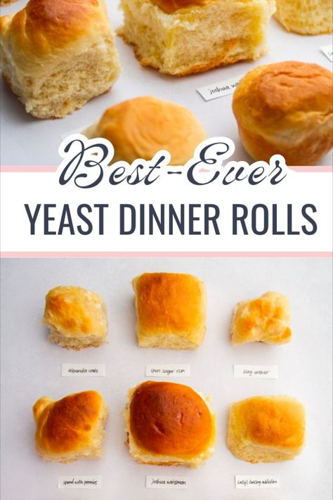 Looking for the best homemade yeast dinner roll for your next family gathering or Thanksgiving? We tested 9 different recipes in search of the most soft and fluffy dinner rolls. Best Yeast Rolls, Best Dinner Rolls, Pancake Princess, Simple Holiday Cookie Recipes, Dinner Roll Recipe, Homemade Yeast, No Yeast Dinner Rolls, Baking For Beginners, Night Dinner Recipes