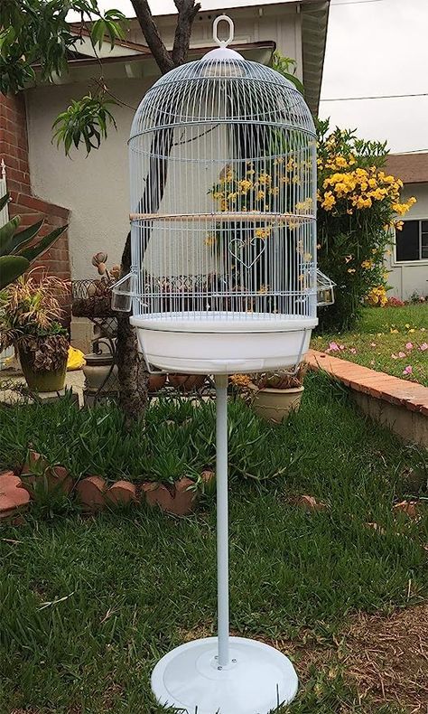 Amazon.com : Round Bird Hook Cage with Stand for Finch Canary Cockatiel Parakeet Dome Top, Cage Only Dimension: 16" Diameter x 28" H, Cage and Stand: 16" D X 57" H (16" D X 57" H, White) : Pet Supplies White Budgie, Canary Cage, Budgie Cage, Diy Bird Cage, Bird Cages For Sale, Round Bird, Bird Cage Stand, Small Bird Cage, Parakeet Cage