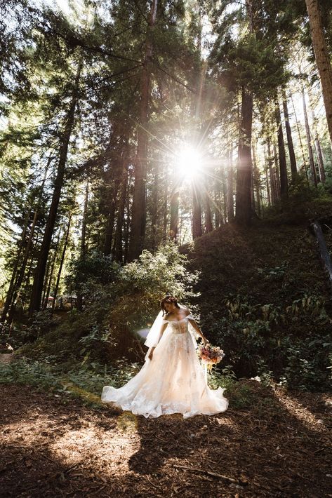 Redwood Elopement Photography, Redwood Wedding Photos, Redwood Wedding California, Redwood Elopement, Woodland Elopement, Woods Elopement, Woodsy Elopement, Redwoods Elopement, Moody Elopement