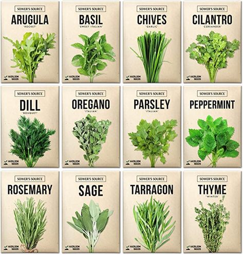 Amazon.com : Herb Seeds For Planting – 12 Non-GMO Herb Garden Seeds for Planting Herbs: Basil Seeds, Dill, Chives, Oregano, Sage, Peppermint, Cilantro, Thyme, Rosemary, Tarragon, Parsley, Arugula : Patio, Lawn & Garden Propagate Basil, Growing Parsley, Banana Seeds, Outdoor Herb Garden, Sage Plant, Basil Seeds, Seed Pack, Garden Kits, Herb Seeds