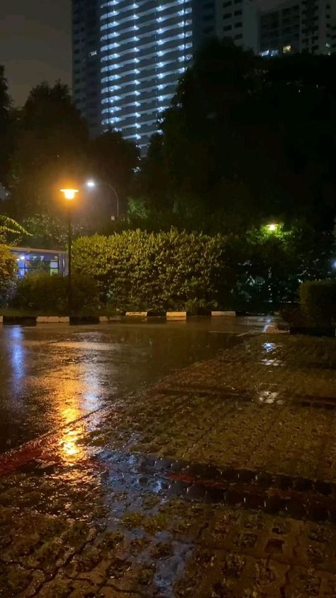 rain at night in 2022 | Rain photography, Beautiful photos of nature, Sky aesthetic Nature Sky Aesthetic, Rain At Night, Night Walking Aesthetic, Rain Street, Night Street Photography, Photos Of Nature, Rain Pictures, Rain Photo, Rainy Day Aesthetic