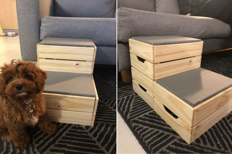 I decided to hack the dog steps after watching my puppy struggle to get onto the couch. The options online didn't suit our decor and we needed an option quite quickly. The project only took me an hour to make and the cost was low as I already had the other tools. The total cost I paid was $32.99. Diy Pet Stairs, Stairs With Storage, Ikea Dog, Ikea Crates, Dog Stairs For Bed, Dog Steps For Bed, Dog Ramp For Bed, Dog Stairs, Pet Stairs