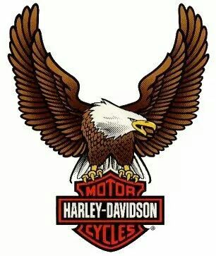 Harley Davidson Harley Eagle Tattoo, Biker Logo Design, Harley Davidson Cake, Harley Davidson Crafts, Harley Davidson Eagle, Harley Davidson Images, Harley Davidson Posters, Harley Davidson Pictures, Harley Davidson Tattoos