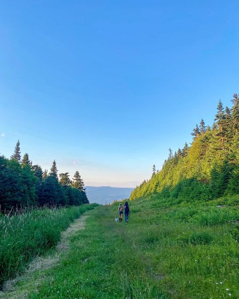 Outside Activities Aesthetic, Vermont In Spring, Summer In Vermont, Vermont Summer Aesthetic, Vermont Aesthetic Summer, Scottish Summer Aesthetic, Canadian Summer Aesthetic, Curly Hair Flowers, Northeast Summer