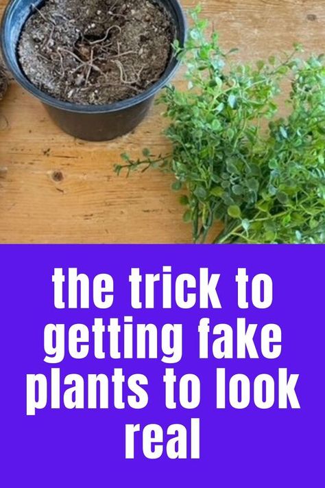 If you're a pro at killing plants check out this easy plant hack to decorate your living room, bedroom, kitchen or entryway with fake plants but make them look expensive and real. Fake Hanging Plants Outdoor, Faux Hanging Plants Outdoor, Fake Plant Decor Ideas, Planting Fake Flowers Outside, How To Make Fake Plants Look Real, Using Fake Flowers Outdoors, Fake Outdoor Plants Landscaping, Outdoor Fake Flower Pot Ideas, Outdoor Fake Plants