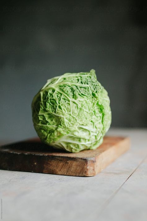 Spring cabbage by Alberto Bogo for Stocksy United Veggies Photography, Photography 2023, Ingredients Photography, Vegetable Salads, Vegetables Photography, Vegetable Salad Recipes, Savoy Cabbage, Garden Vegetable, Food Graphic Design