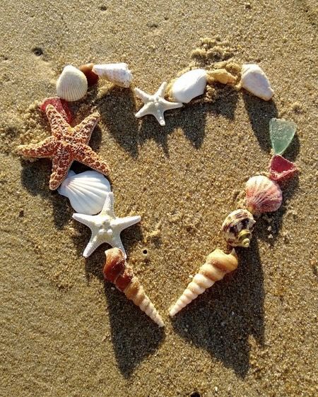 seashell heart. beach aesthetic. seashells. Seasons In The Sun, Happy Weekend Quotes, Shell Beach, Visual Poetry, + Core + Aesthetic, Beach Aesthetic, Happy Weekend, Myrtle Beach, Flower Wreath