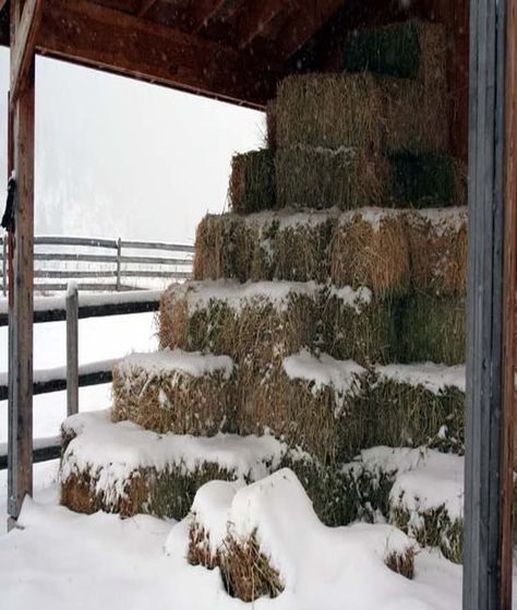 Winter Farm, Country Winter, Hay Barn, Country Barns, Farm Living, Hay Bales, Winter Love, Farms Living, Down On The Farm