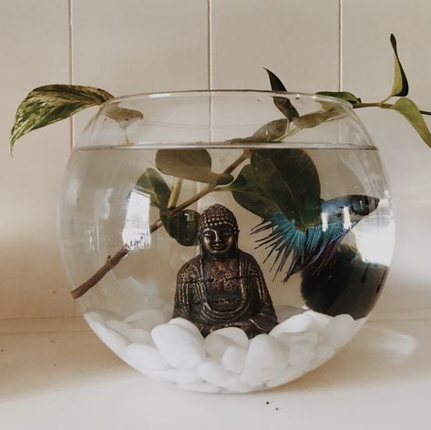 Beta Fish Bowl Ideas, Art Anime Tattoo, Aquarium Stand Ideas, Fish Bowl Centerpiece Wedding, Fish Bowl Centerpiece, Fish Bowl Ideas, Aesthetic Fish Tank Ideas, Aesthetic Fish Tank, Fish Taco Bowl