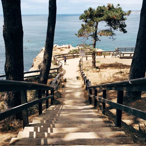 La Jolla Beach San Diego, La Jolla Photoshoot, La Jolla California Aesthetic, La Jolla Restaurants, Cali Aesthetic, Arizona Day Trips, San Diego Travel Guide, Artist Retreat, La Jolla Beach