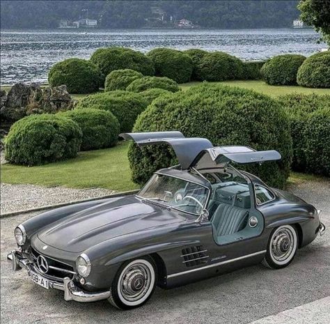 Mercedes-Benz Maybach Fans on Instagram: “No doubt: 1954 Mercedes-Benz 300 SL is the most beautiful classic car in the world. 🦅 _____________________ #mercedesbenz #mercedesamg…” Mercedes Gla 250, Mercedes Classic Cars, Maybach Mercedes, Gla 250, Kereta Sport, Mercedes Auto, Mercedes Gla, Old Mercedes, Mercedes 300sl