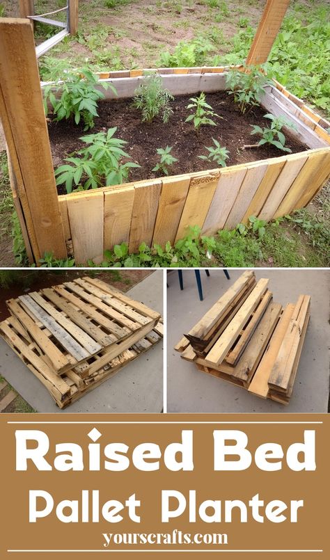 Raised Bed Pallet Planter Pallet Container Garden, Diy Pallet Projects Garden, Wood Pallet Projects For Beginners, Planter Boxes From Pallets, Pallet Flower Planter, Planter Box From Pallets, Things To Make With Pallets, Diy Raised Planter Boxes, Garden Ideas Pallet