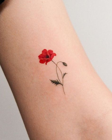 Poppy Flower Tattoo Small, Simple Poppy Tattoo, Poppy Tattoo Meaning, Poppy Tattoo Small, Red Poppy Tattoo, Botanisches Tattoo, Flor Tattoo, Virgo Tattoo Designs, Poppy Flower Tattoo