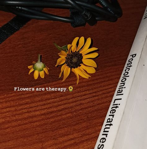 𝙵𝚕𝚘𝚠𝚎𝚛𝚜 𝚊𝚛𝚎 𝚝𝚑𝚎𝚛𝚊𝚙𝚢.🌻 Yellow Flower Captions For Instagram, Flower Therapy Quotes, Flowers Aesthetic Captions, Yellow Flower Quotes, Therapy Aesthetic, Flower Captions For Instagram, Tumblr Flower, Nature Photography Quotes, Chakra Tattoo