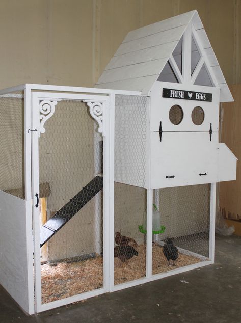 Indoor Chicken Coop, Indoor Chicken, Chicken Coop Inside, Chicken Coop Blueprints, Quail Coop, Small Chicken Coops, Chicken Images, Chicken Poop, Portable Chicken Coop