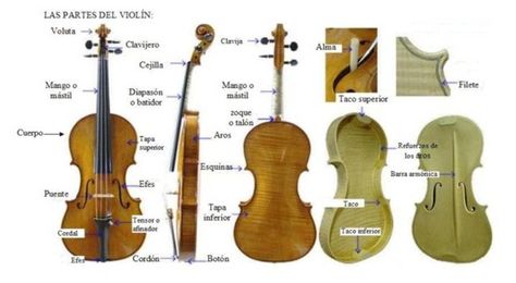 Violin, Music Instruments