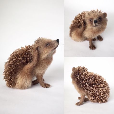 Hedgehog Sculpture, Felted Hedgehog, Pom Pom Animals, My One And Only, Felt Mobile, Needle Felting Projects, Artist Doll, Needle Felted Animals, Felt Dolls