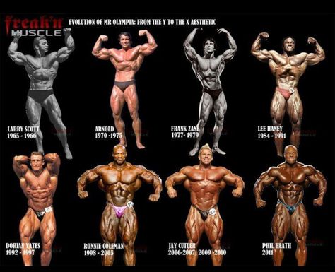 Evolution of Mr. Olympia: the Y to the X Aesthetic Mr Olympia Winners, Lee Haney, Dexter Jackson, Dorian Yates, Jay Cutler, Ronnie Coleman, Bodybuilding Competition, Sport Nutrition, Bodybuilders Men