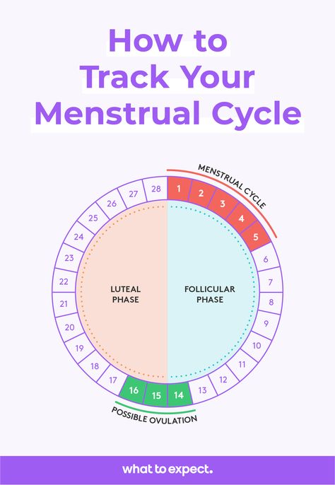 Trying to have a baby? Tuning into your body’s subtle signals to know when you’re ovulating can boost your chances of conceiving. Read more here on when's the best time in your cycle to get pregnant, how to track your menstrual cycle and more. Best Time To Get Pregnant, Menstrual Cycle Chart, Tracking Menstrual Cycle, Natural Birth Control, Ovulation Cycle, Ovulation Tracking, Fertility Awareness Method, Fertility Awareness, Fertility Health