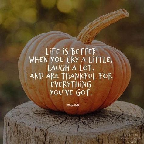 Patch Quotes, November Quotes, Thankful Quotes, Autumn Pumpkins, Weekday Quotes, Happy Morning Quotes, Thankful Thursday, Thankful Heart, Happy Thanksgiving Quotes