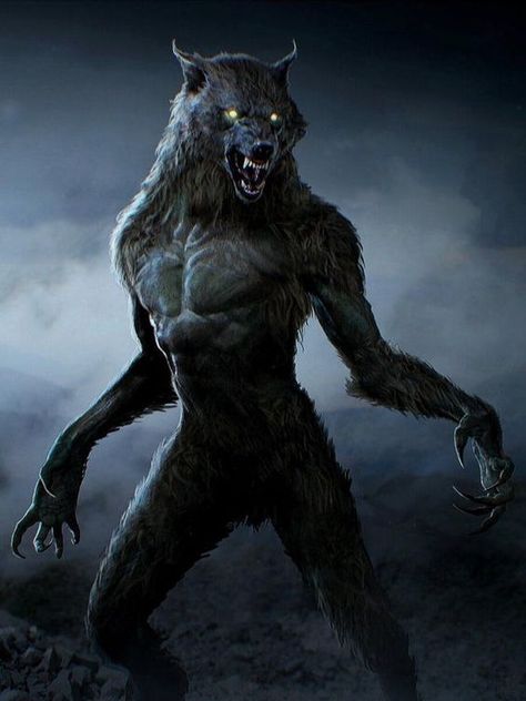 Werewolf Werewolf Wallpaper, Werewolf Mythology, Real Werewolf, Evil Wolf, Werewolf Eyes, Werewolf Tattoo, Night Wolf, Alpha Werewolf, Shadow Wolf