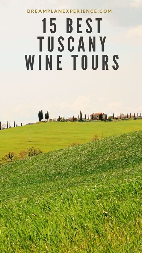 grassy field with tall trees on tuscany wine tours Italy Wine Country, Italy Wine Tasting, Tuscany Wine Tasting, Tuscany Wineries, Tuscany Wine Tour, Tuscany Wine, Portugal Trip, Europe 2024, Tuscany Travel