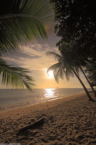 The beach (EXPLORE) | Flickr - Photo Sharing! I Love The Beach, Jolie Photo, Alam Yang Indah, Alam Semula Jadi, Beach Scenes, Beautiful Sunset, Vacation Spots, Dream Vacations, Belle Photo