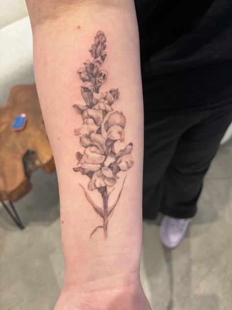 Dragon Snap Tattoo, Snapdragon Flower Tattoo, Snap Dragon Tattoo, Snapdragon Tattoo, Snapdragon Flowers, Sunflower Tattoos, Dear Future, Dragon Tattoo, Pretty Tattoos