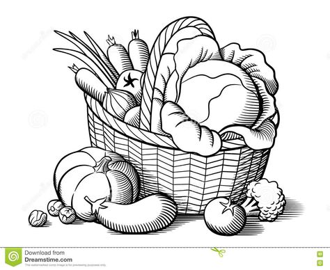 Vegetable Drawing, Basket Drawing, Vegetable Basket, Clipart Black And White, Drawing Images, Art Drawings Sketches, Drawing For Kids, Line Drawing, Drawing Sketches