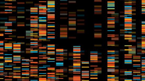 As We Democratize Biology, We Must Avoid Biologizing Democracy Dna Sequencing, Technology Roadmap, Dna Art, Genome Sequencing, Dna Sequence, Human Genome, Data Visualization Design, Genetic Testing, Molecular Biology