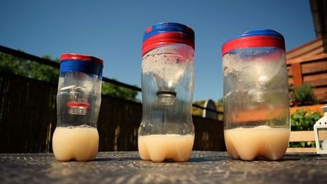 Mosquito Trap Homemade, Mosquito Trap Diy, Mosquito Catcher, Mosquito Traps, Diy Mosquito Repellent, Landscaping Diy, Mosquito Trap, Bob Vila, Fly Traps