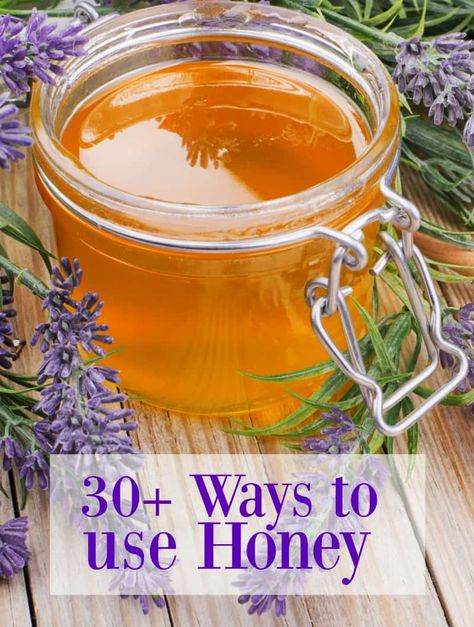 Honey Uses For Skin, Honey Recipes Baking, Honey Recipes Healthy, Easy Honey Recipes, Raw Honey Recipes, Herb Infused Honey, Cooking With Honey, Honey Bees Keeping, Recipe Using Honey