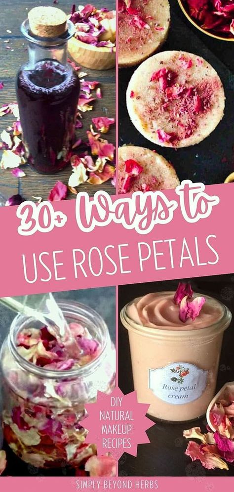 Embrace the versatility of rose petals with more than 30 DIY uses for enhancing your skin and hair's health and beauty. From soothing skin to revitalizing hair, discover the centuries-old secrets of roses as healing flowers. Ideal for those crafting homemade skin care or seeking natural remedies. Find extensive rose recipes, rose petal recipes, and DIY natural makeup at simplybeyondherbs.com. Rose Petal Uses Diy, Dried Rose Petal Recipes, Using Rose Petals, What To Do With Old Rose Petals, What To Make With Rose Petals, Dried Flower Petal Ideas, Diy Beauty Products Recipes, Things To Do With Rose Petals, Dried Rose Petals Ideas