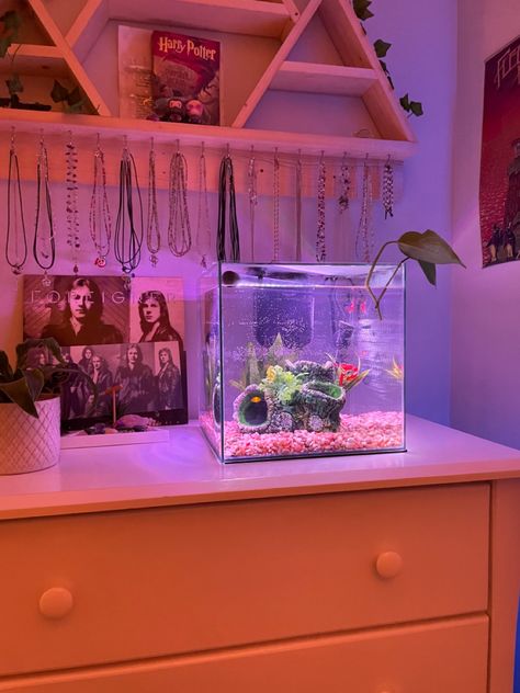 Astetic Fish Tank Ideas, Aesthetic Room With Fish Tank, Small Fish Tanks In Bedroom, Aesthetic Fish Tank Ideas Pink, Dorm Fish Tank, Bedroom Fish Tank Ideas, Fish Tank Aesthetic Bedroom, Fish Tanks In Bedrooms, Betta Fish Tank Aesthetic