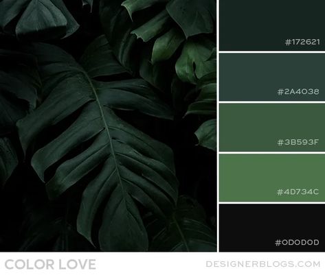 Dark Green Wall Color Palette, Dark Green Colors Palette, Forest Green And Black Color Palette, Green And Black Pallet, Dark Green Light Green Combination, Emerald Green And Black Color Palette, Pthalo Green Color Palette, Dark Website Color Palette, Green Masculine Aesthetic