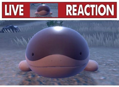 clodsire looks at screen Live Reaction, Gotta Catch Them All, Pokemon Memes, Pokemon Funny, Pokemon Teams, Silly Images, Pokemon Games, My Pokemon, Silly Pictures