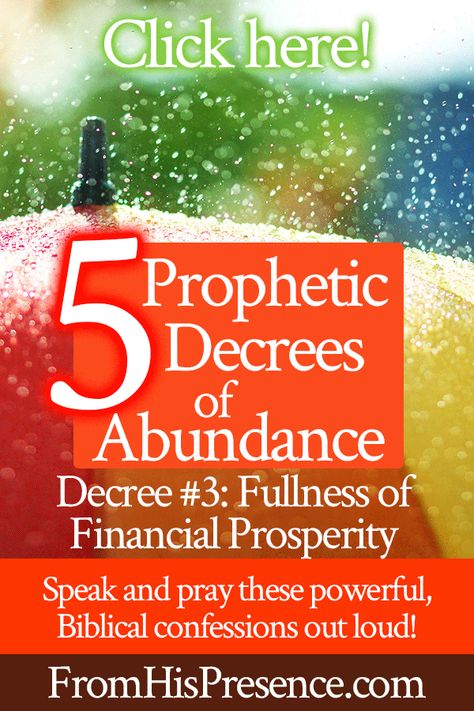 5 Prophetic Decrees of Abundance | Decree #3 Fullness of Financial Prosperity | by Jamie Rohrbaugh | FromHisPresence.com Bible Study Materials, Money Prayer, Divine Revelation, Financial Prosperity, Righteousness Of God, Christian Ministry, Speak Life, Prayers For Healing, Power Of Prayer