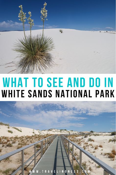 View of the white sand dunes with a small plant and the metal boardwalk on Interdune Trail at White Sands National Park. White Sand National Park New Mexico, New Mexico White Sands, Arizona And New Mexico Road Trip, White Sand Dunes New Mexico, White Sand National Park, White Sand Dunes, New Mexico Vacation, White Sands New Mexico, New Mexico Road Trip