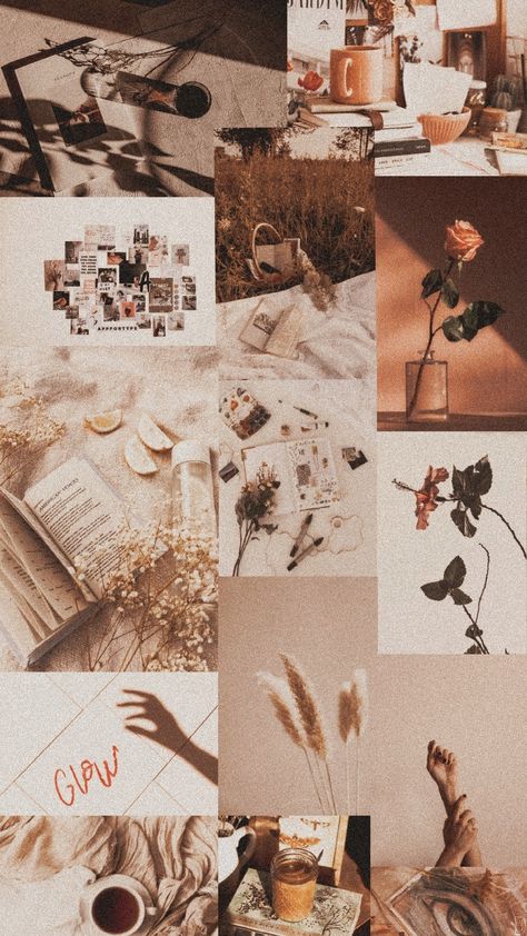 Paige
Aesthetic
Wallpaper Paige Astethic, Therese Core Aesthetic, Cathy Core Aesthetic, Grace Core Aesthetic Wallpaper, Sara Core Aesthetic Wallpaper, Chelsie + Core + Aesthetic, Nicole Core Aesthetic Wallpaper, Phoebe + Core + Aesthetic, Nichole Core Aesthetic