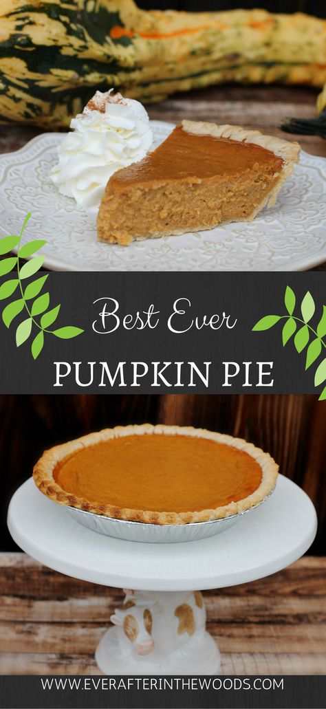 easiest way to make pumpkin pie frozen crust #pumpkinpie #pumpkin #bestthanksgivingdessert #pie #easythanksgivingdessert Frozen Pumpkin Pie, Pumpkin Pie Crust, Best Pumpkin Pie Recipe, Pumpkin Pie Recipe Easy, Fun Thanksgiving Desserts, Frozen Pie Crust, Frozen Pumpkin, Holiday Desserts Table, Best Pumpkin Pie