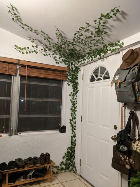 Fake ivy attached to an interior wall and ceiling with loc tite fun tak temporary mounting putty. Indoor jungle. Greenery in foyer. Ivy On Wall, Room Inspiration Aesthetic, Fake Vines, Fake Walls, Fake Ivy, Ivy Wall, College Room Decor, Fake Plants Decor, Bedroom Decor Cozy